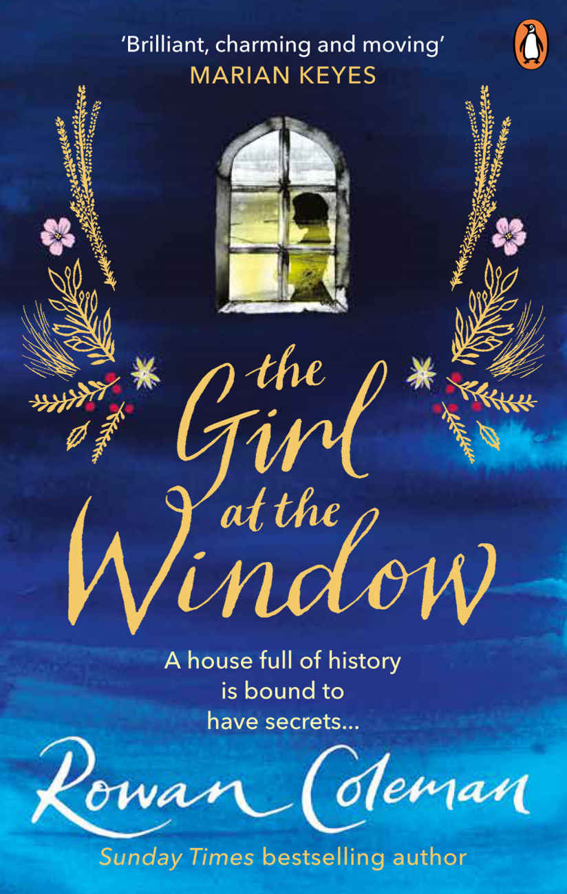 The Girl at the Window book cover