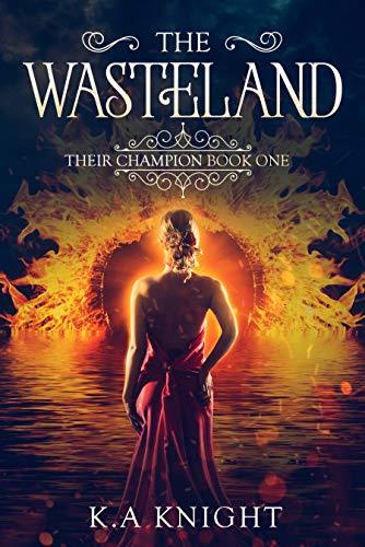 Their Champion book cover 1