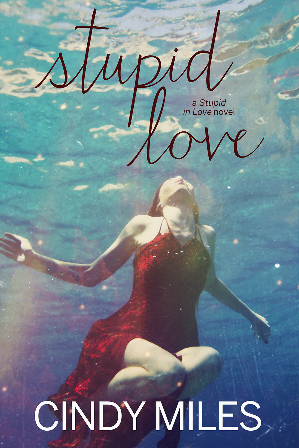 Stupid in Love book cover 3