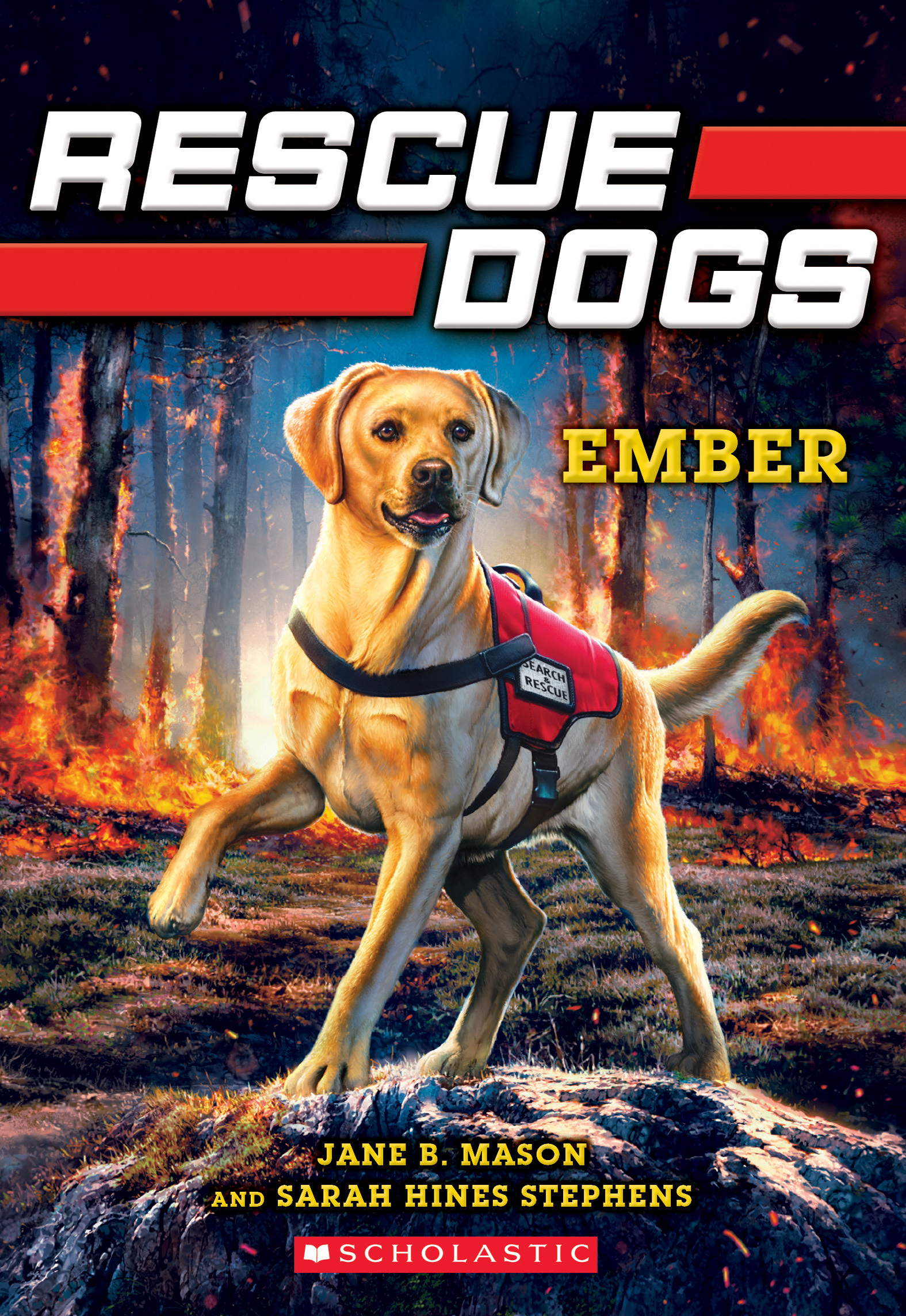 Rescue Dogs book cover 1