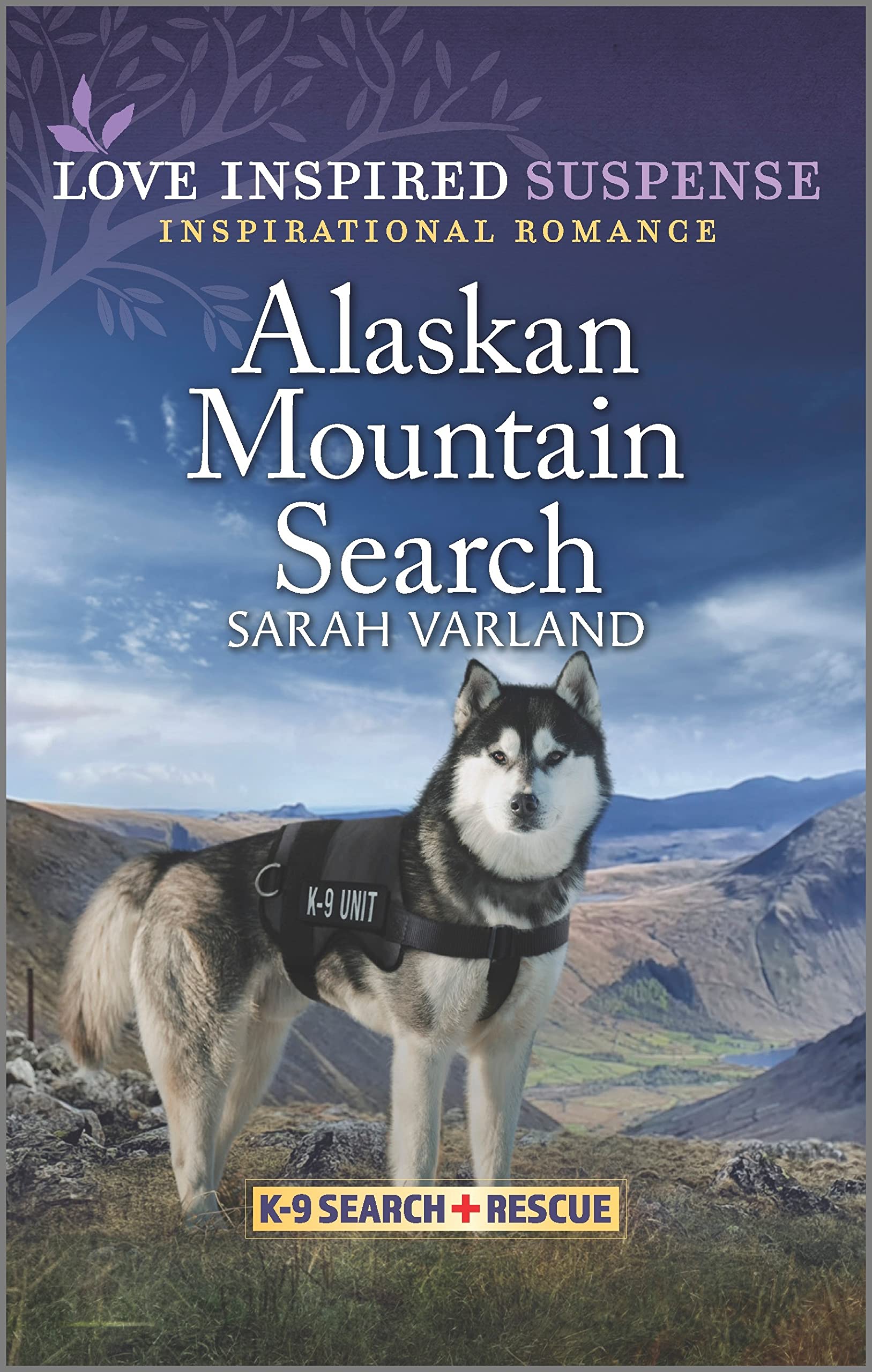Alaskan Mountain Search book cover
