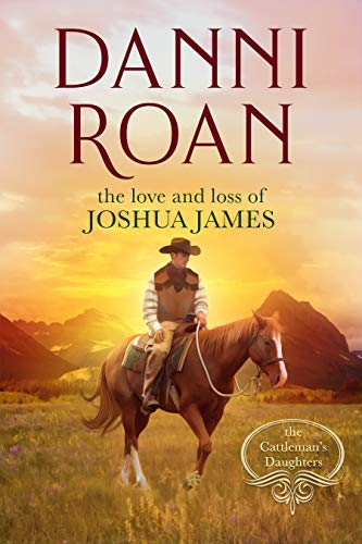 The Love and Loss of Joshua James book cover