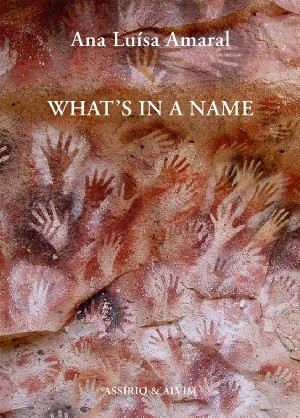 What's in a Name book cover