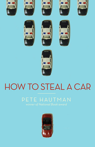 How to Steal a Car book cover