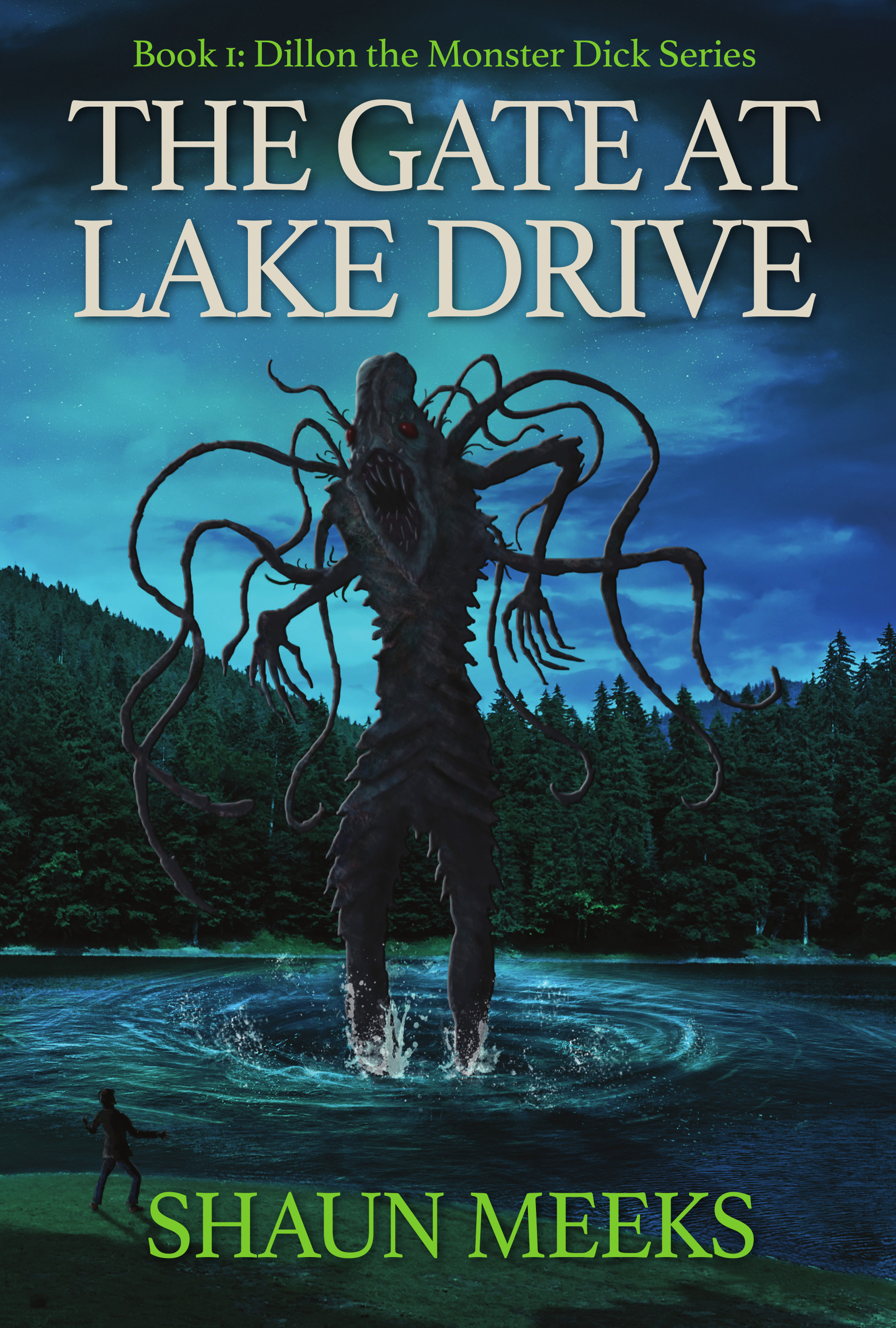 The Gate at Lake Drive book cover