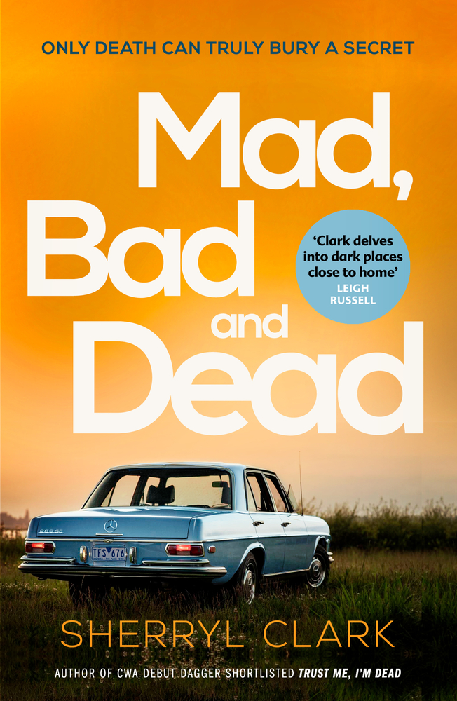 Judi Westerholme book cover 3