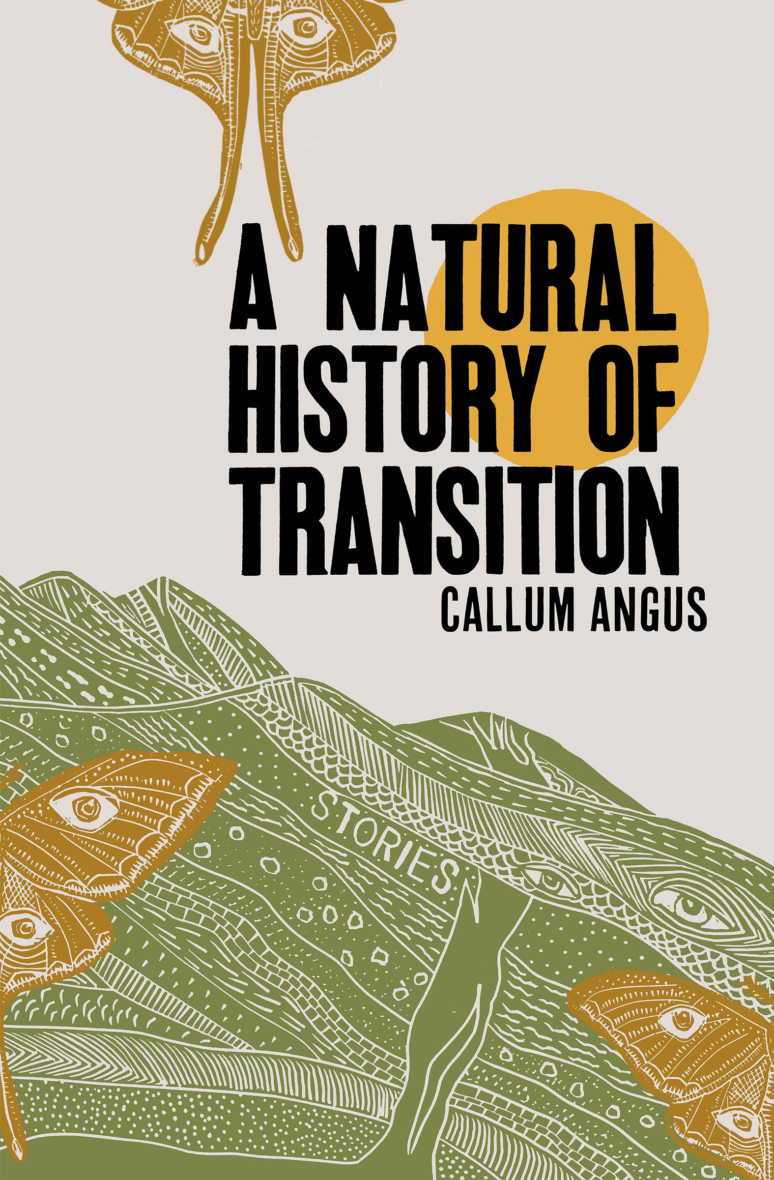 A Natural History of Transition book cover