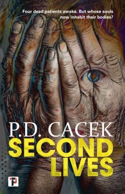 Second Lives book cover