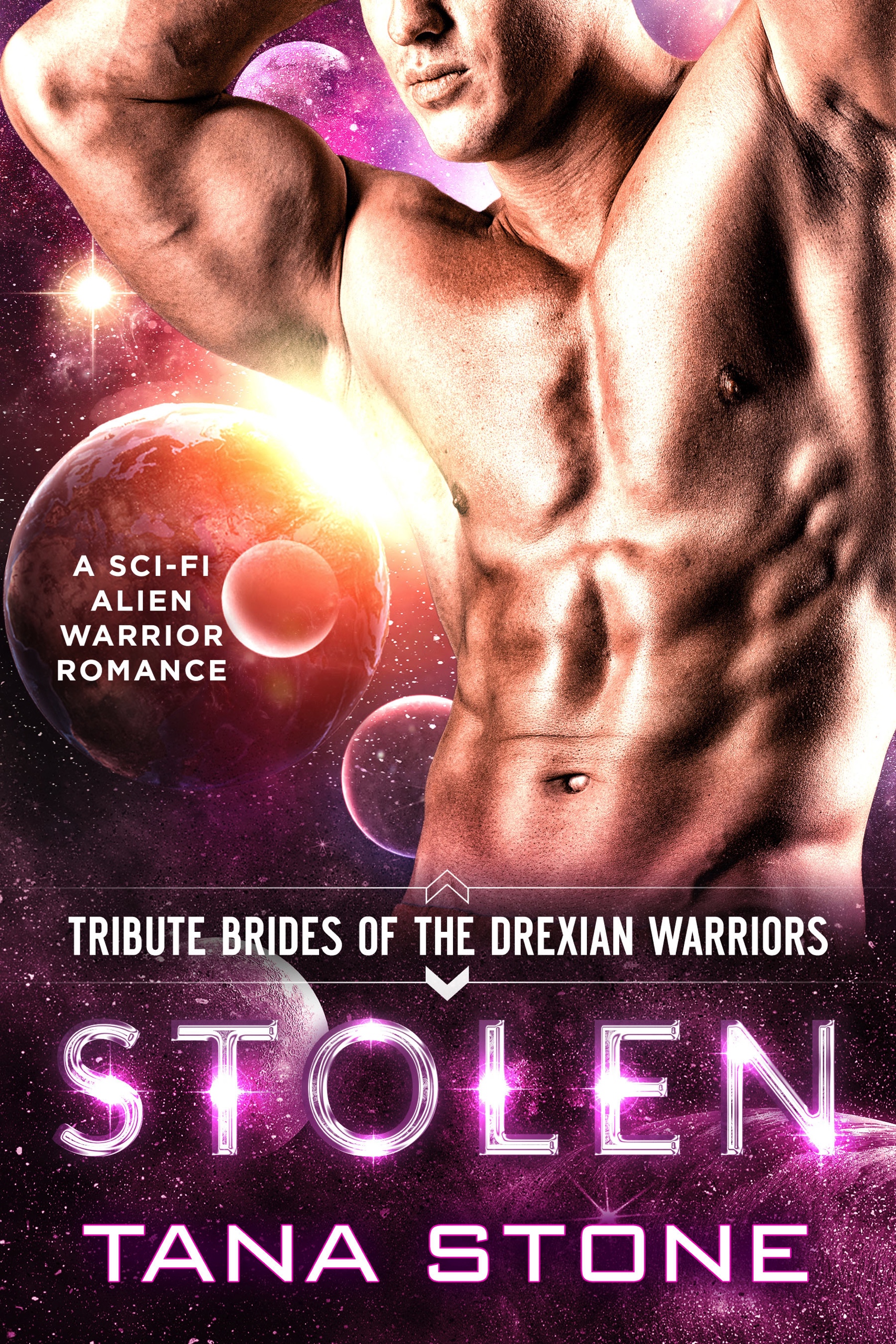 Stolen book cover