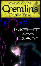 Night and Day book cover