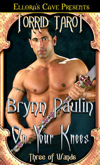 Cress Brothers book cover 1