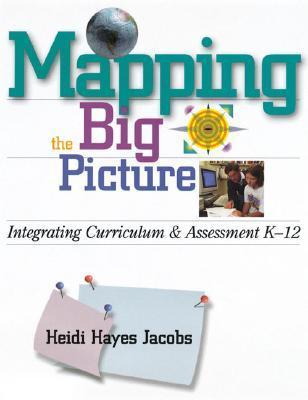Mapping the Big Picture book cover