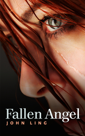 A Raines & Shaw Thriller book cover 1