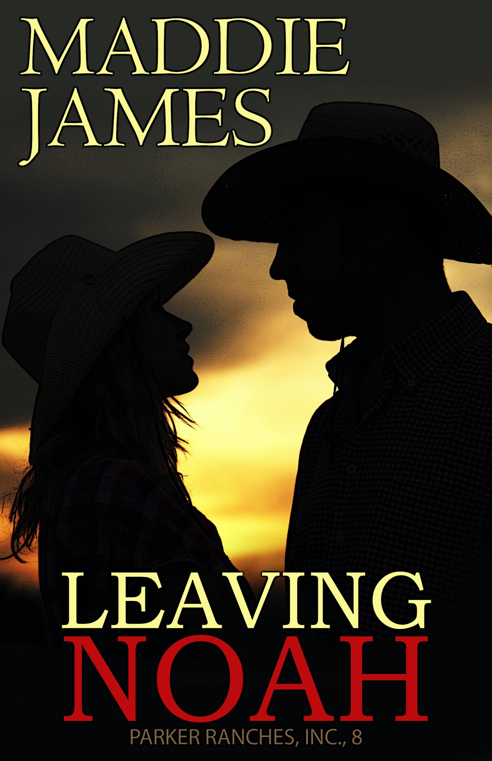 Leaving Noah book cover