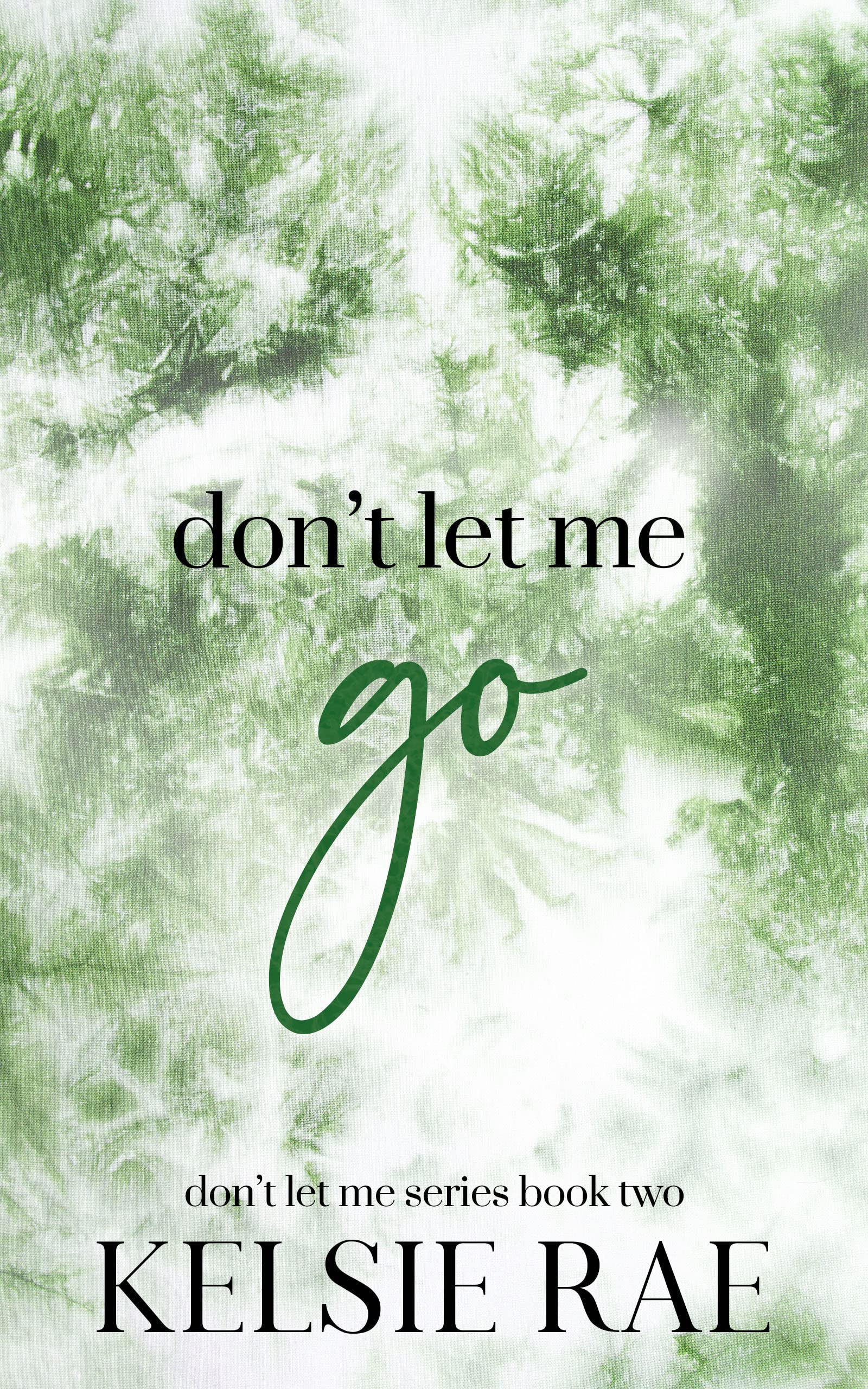 Don't Let Me book cover 2