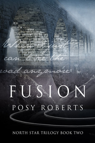 North Star book cover 2