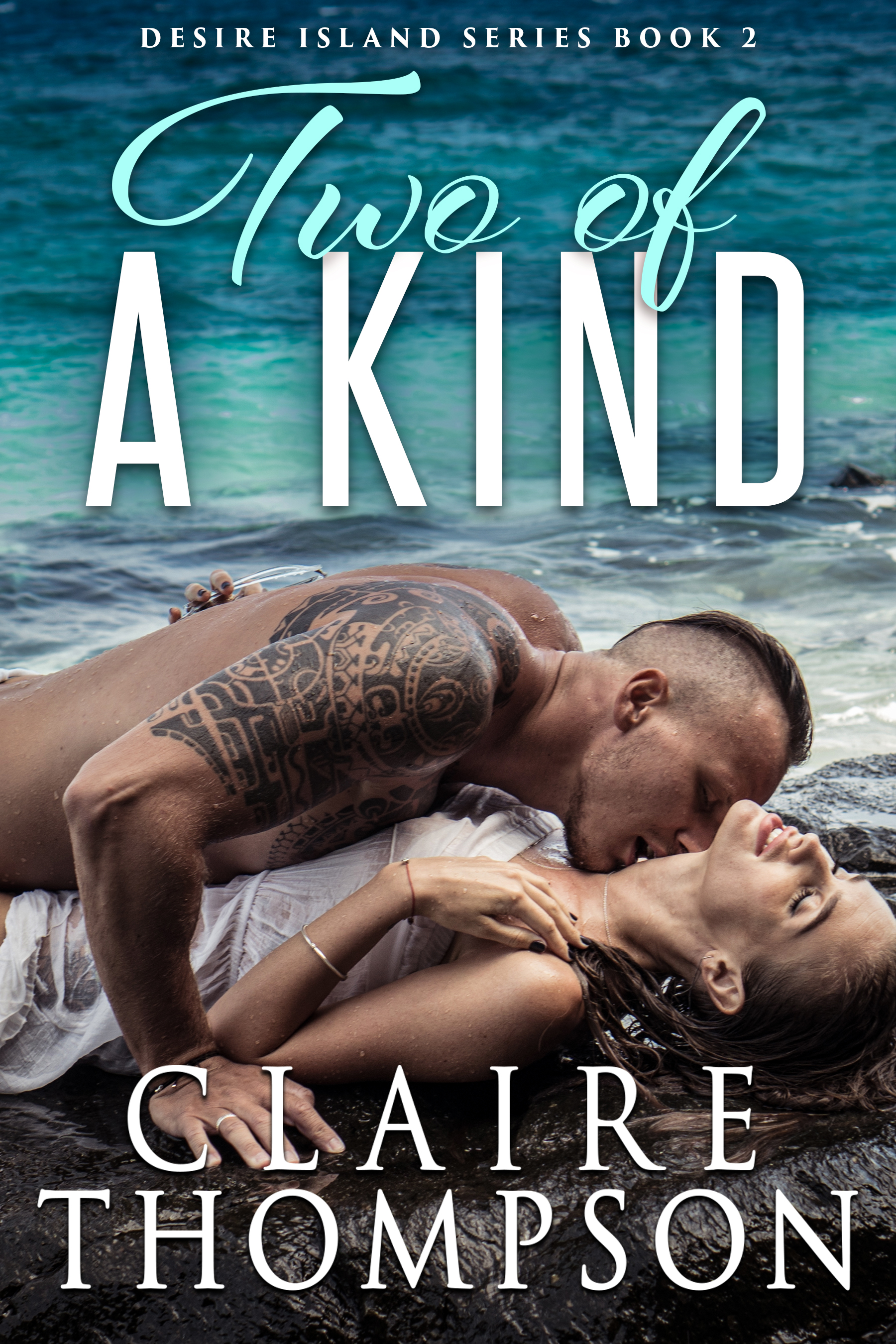 Desire Island book cover 2