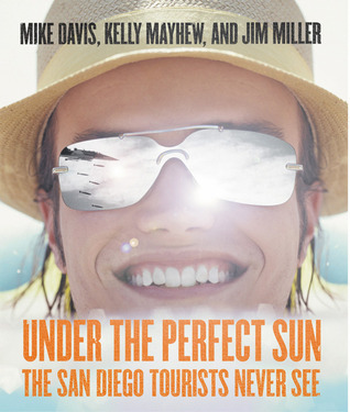 Under The Perfect Sun book cover