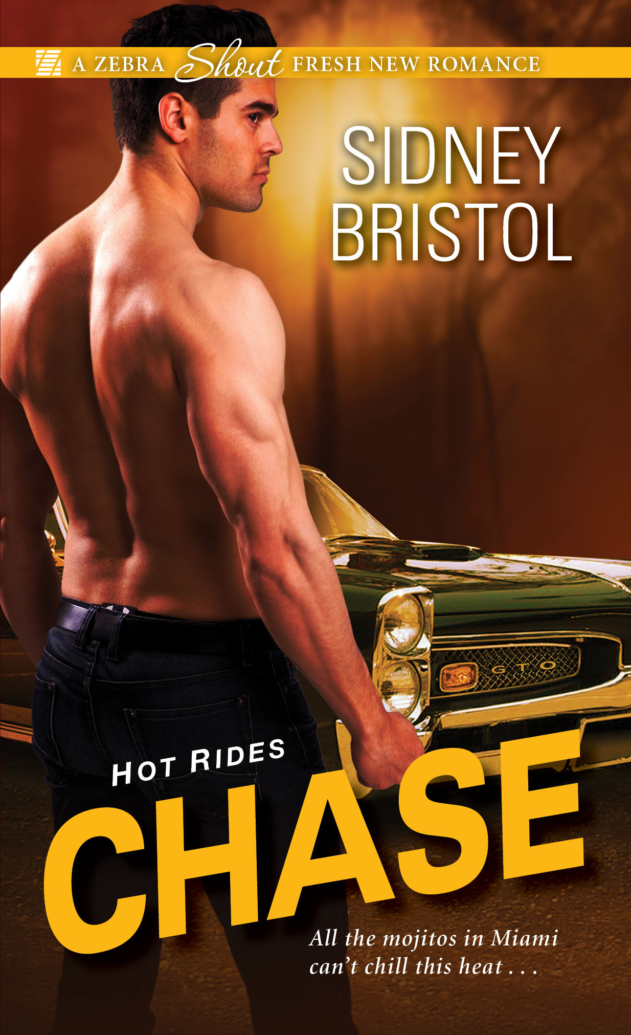 Hot Rides book cover 3