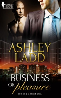 Business or Pleasure book cover