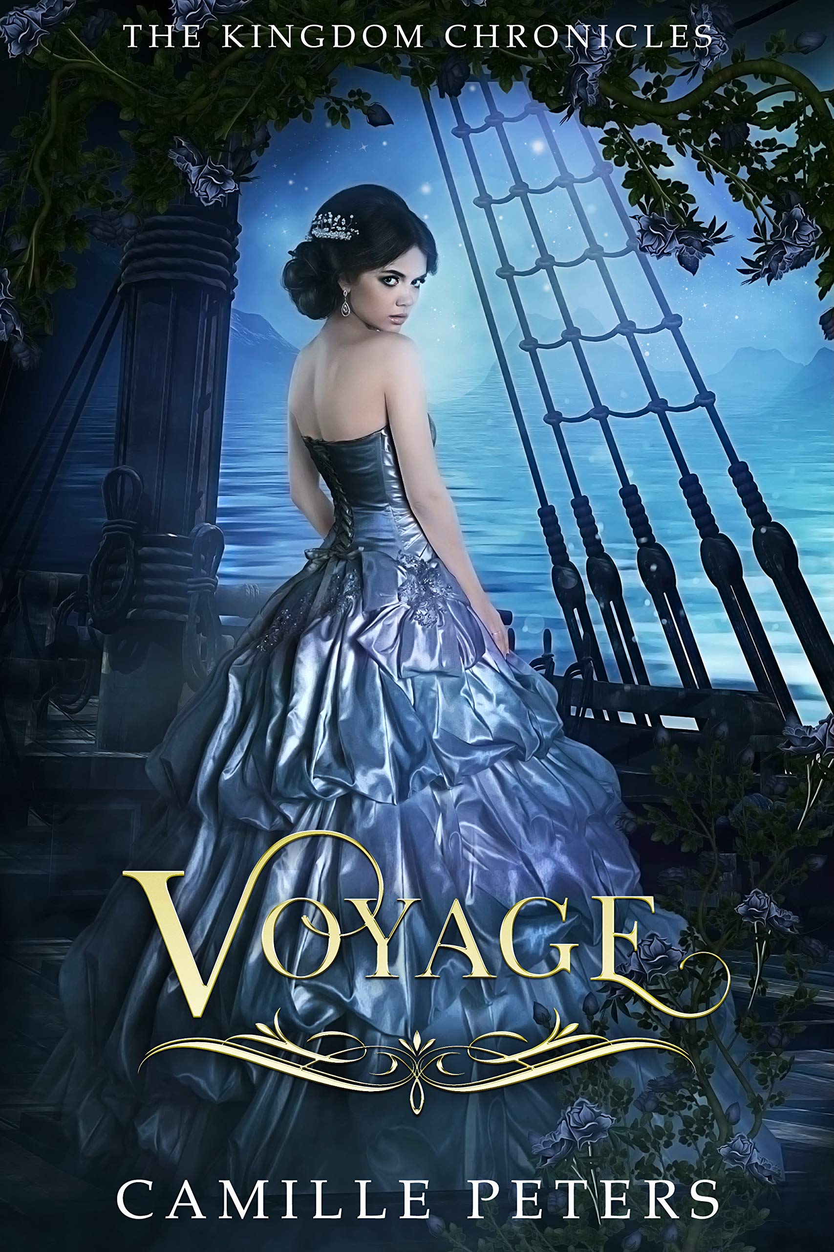 Voyage book cover