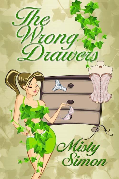 The Wrong Drawers book cover