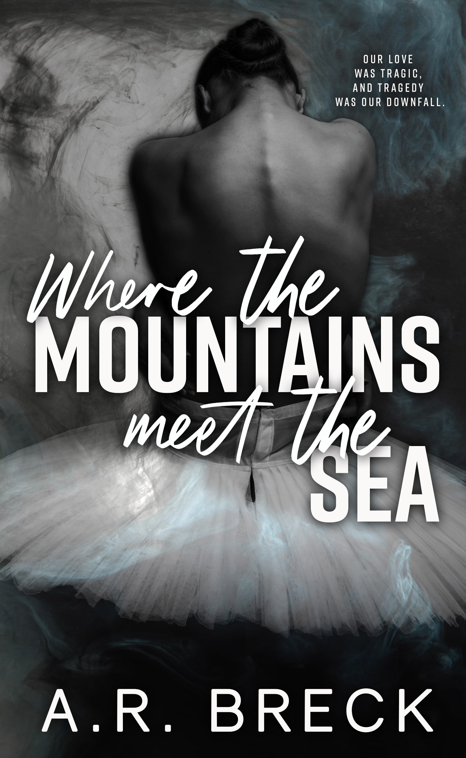 Where the Mountains Meet the Sea book cover