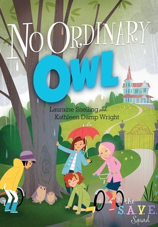 No Ordinary Owl book cover