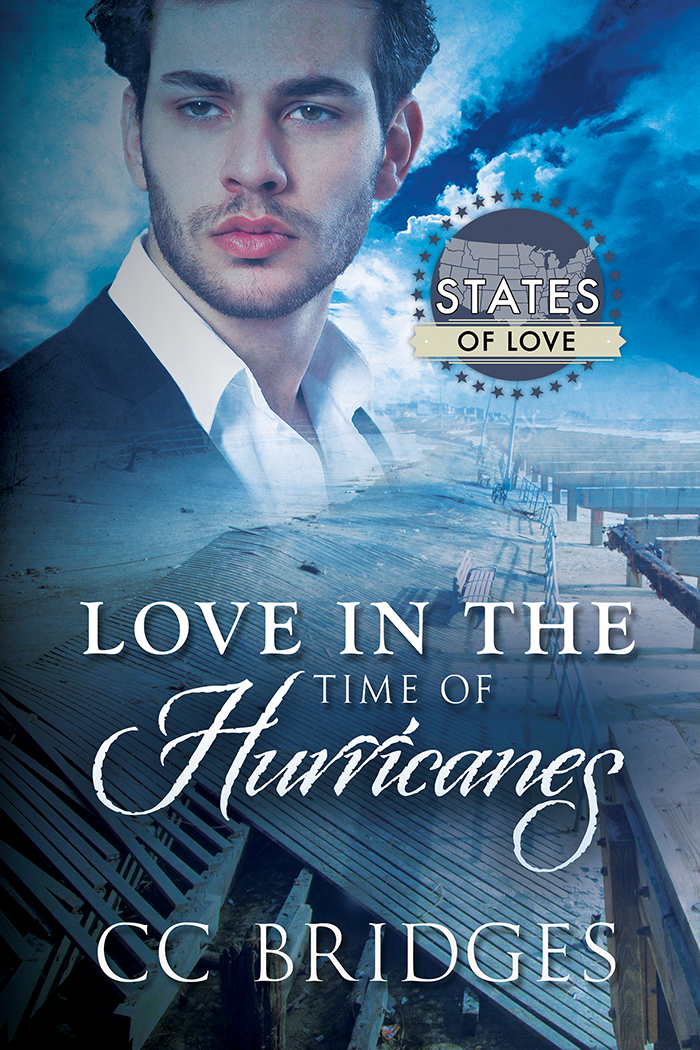 Love in the Time of Hurricanes book cover