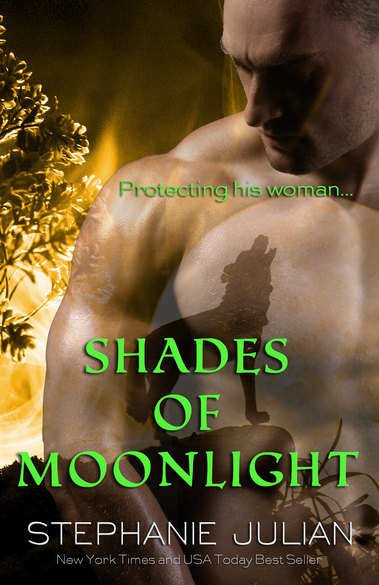 Shades of Moonlight book cover