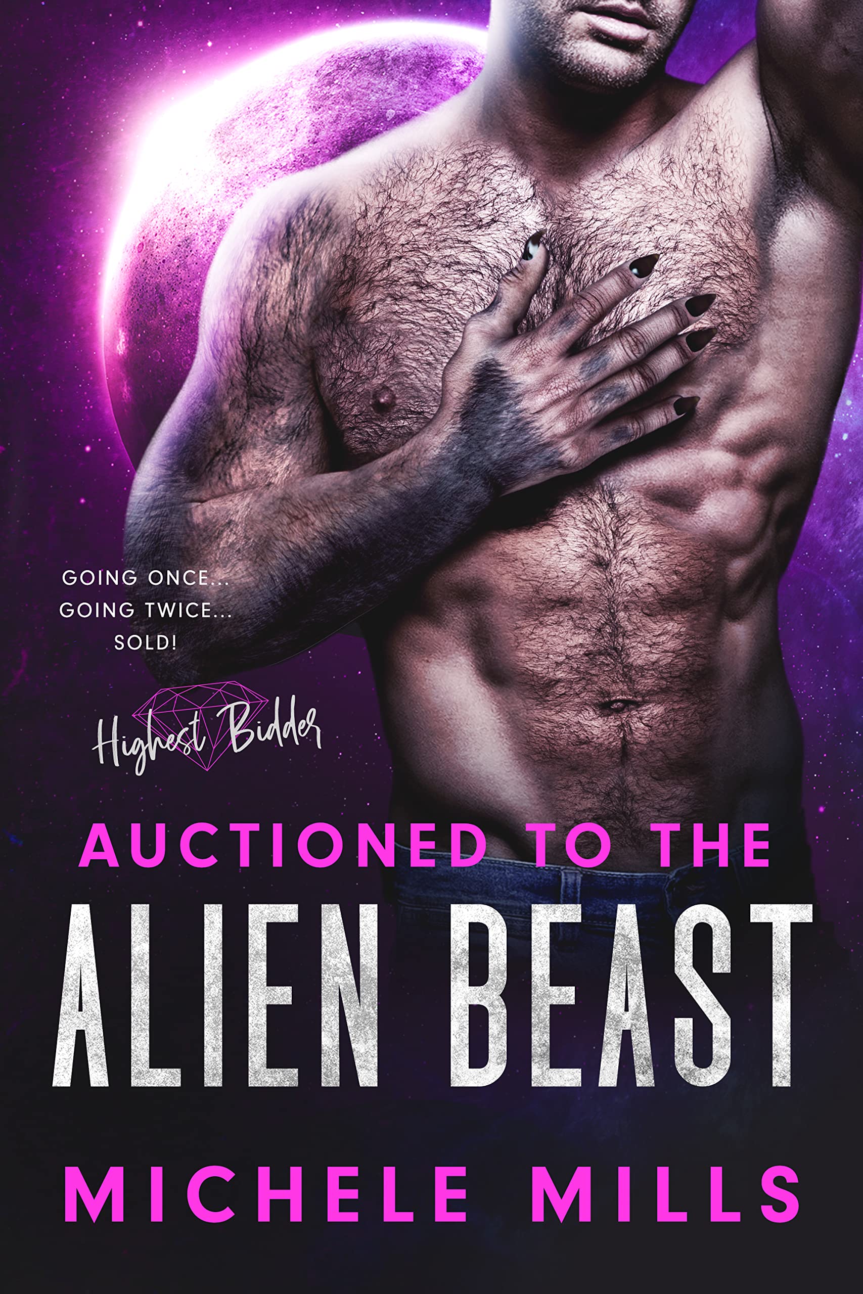 Highest Bidder book cover 1