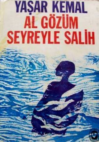 Al Gözüm Seyreyle Salih book cover