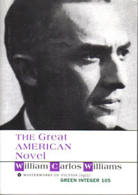 The Great American Novel book cover