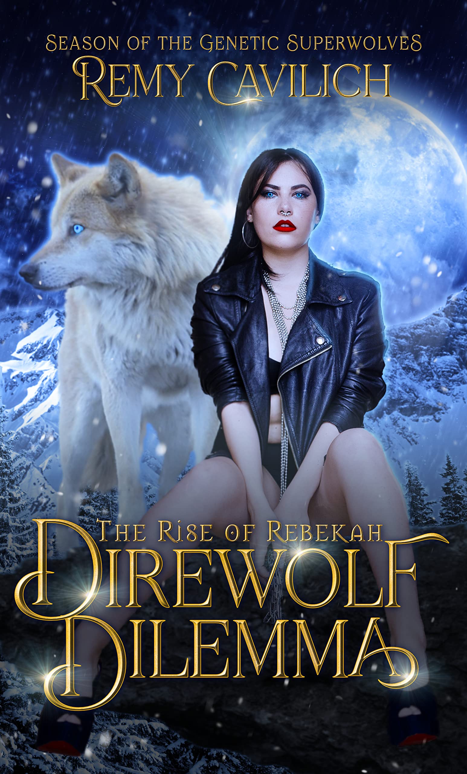 Direwolf Dilemma book cover