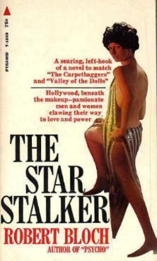 The Star Stalker book cover