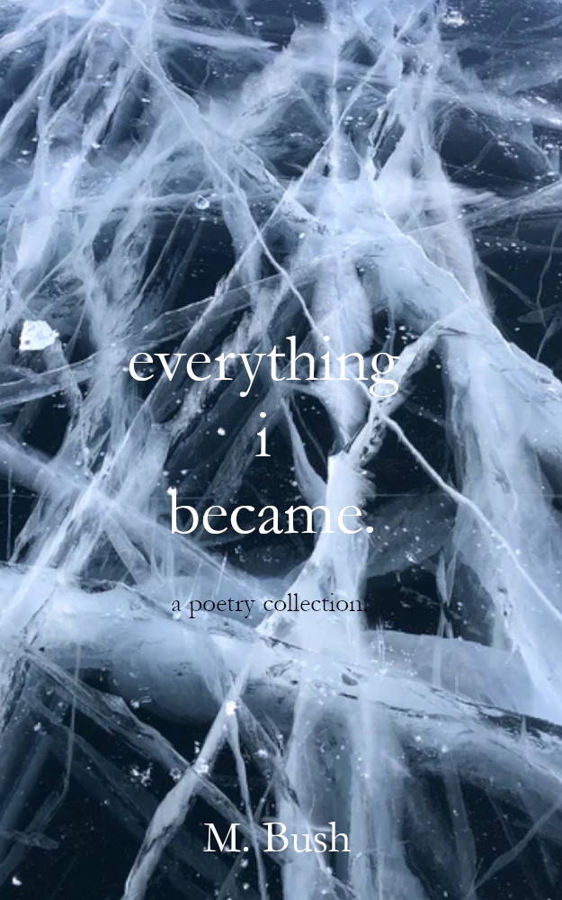 Everything I Became book cover