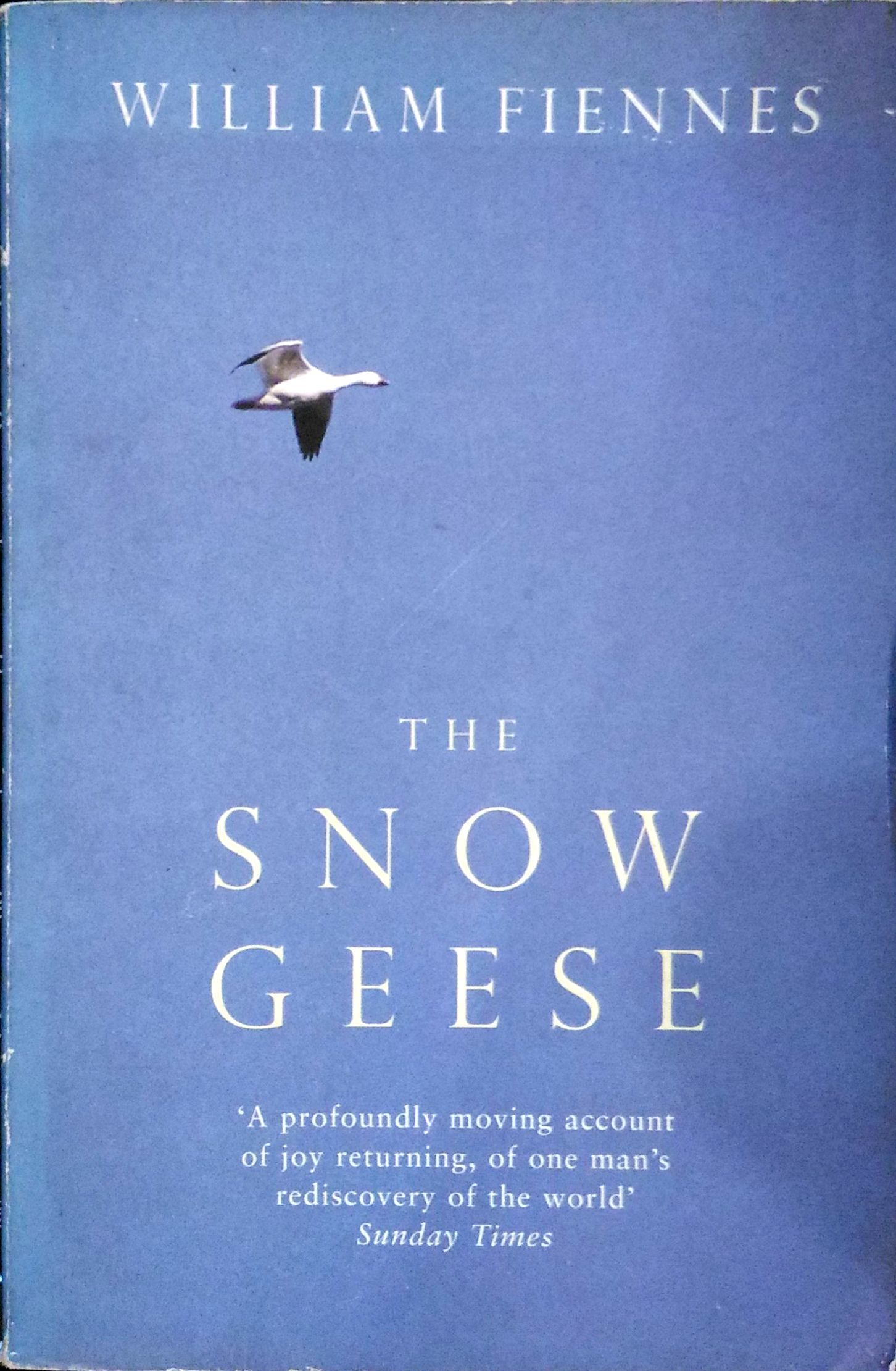 The Snow Geese book cover