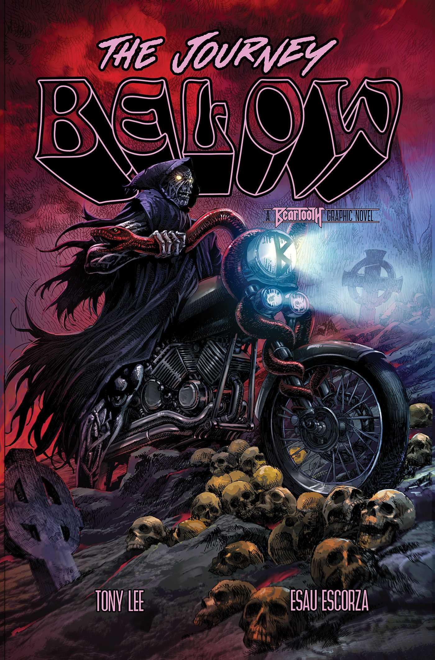 Beartooth book cover