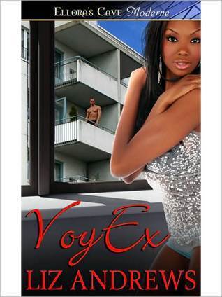 VoyEx book cover