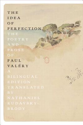 The Idea of Perfection book cover
