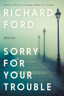 Sorry for Your Trouble book cover
