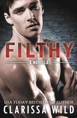 Fierce book cover 3