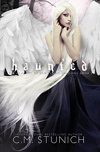 The Academy of Spirits and Shadows book cover 2