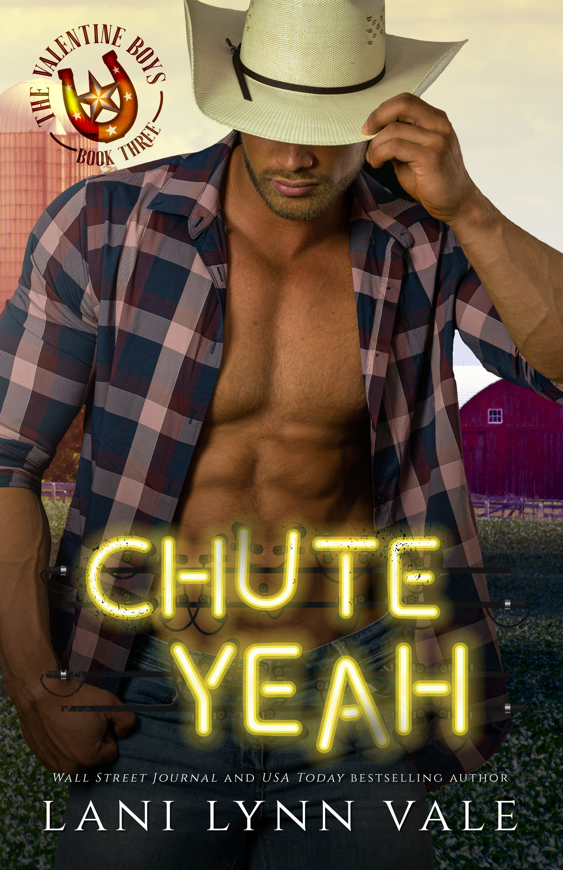 The Valentine Boys book cover 3
