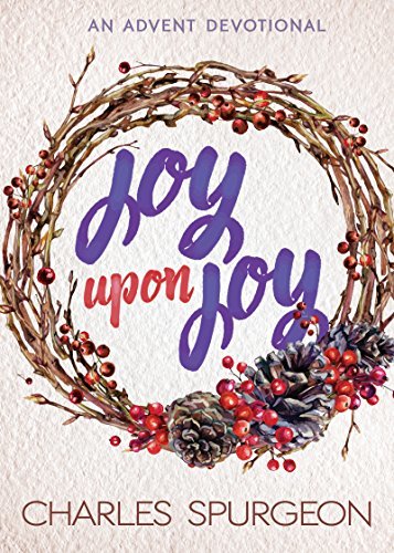 Joy Upon Joy book cover