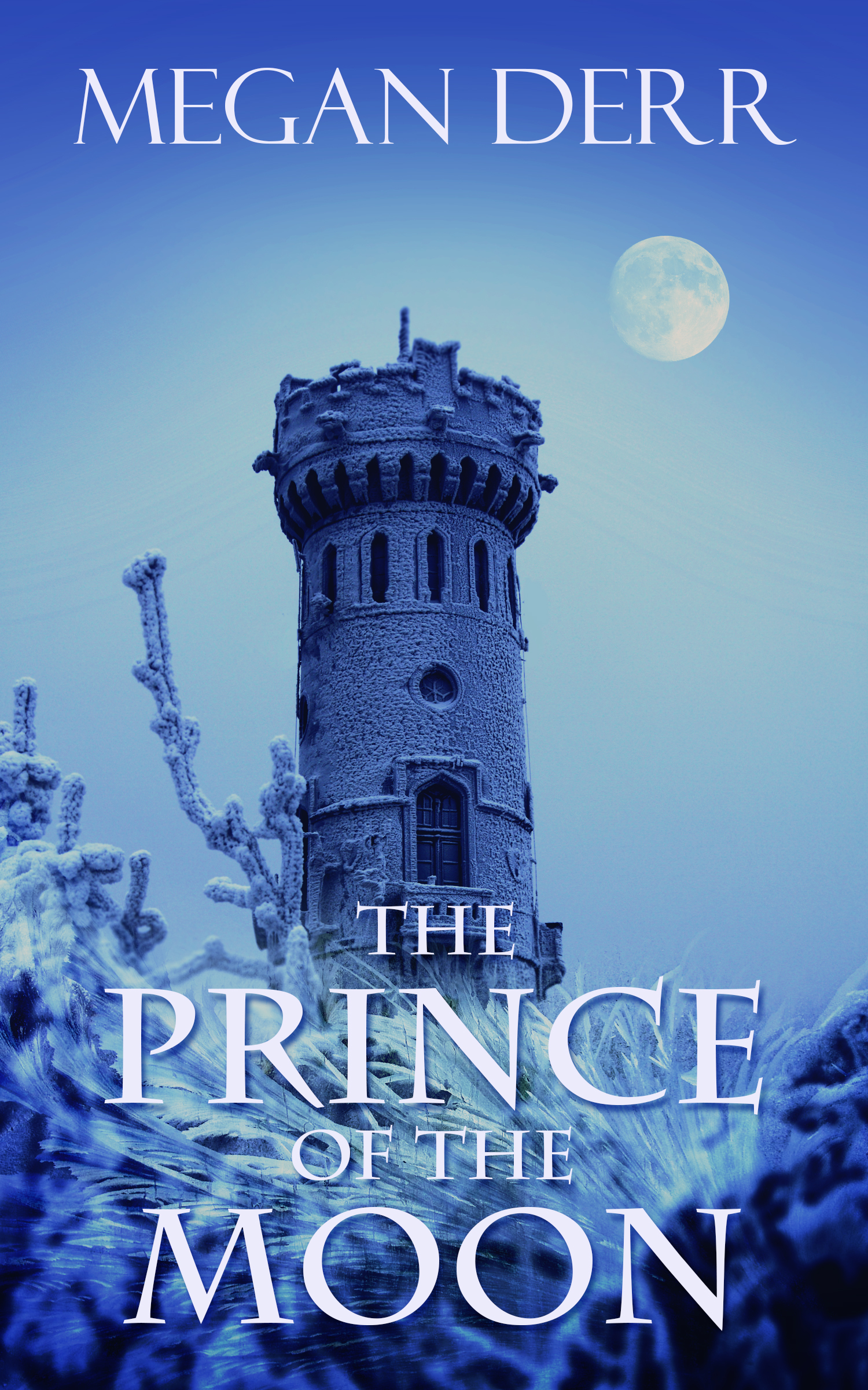 The Prince of the Moon book cover