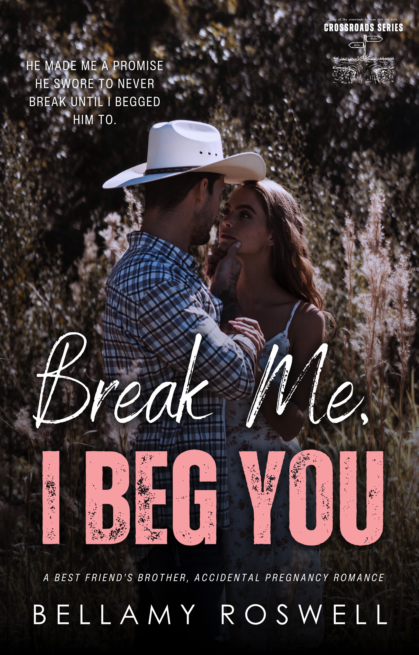 Break Me, I Beg You book cover