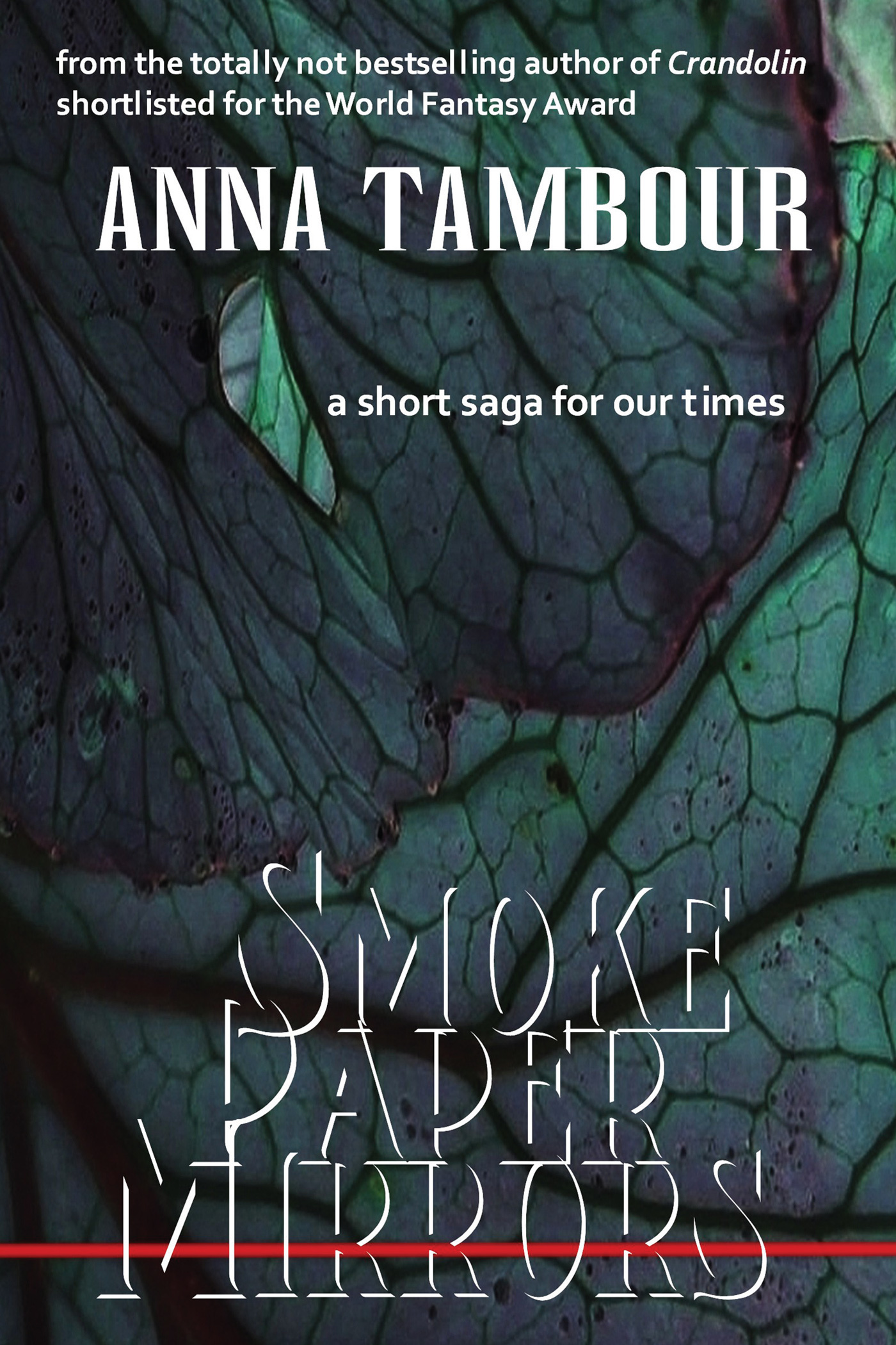 Smoke Paper Mirrors book cover