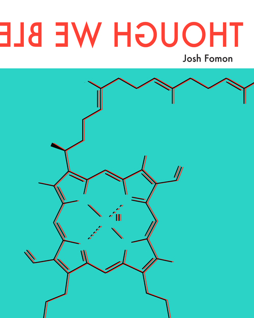 Though We Bled Meticulously book cover