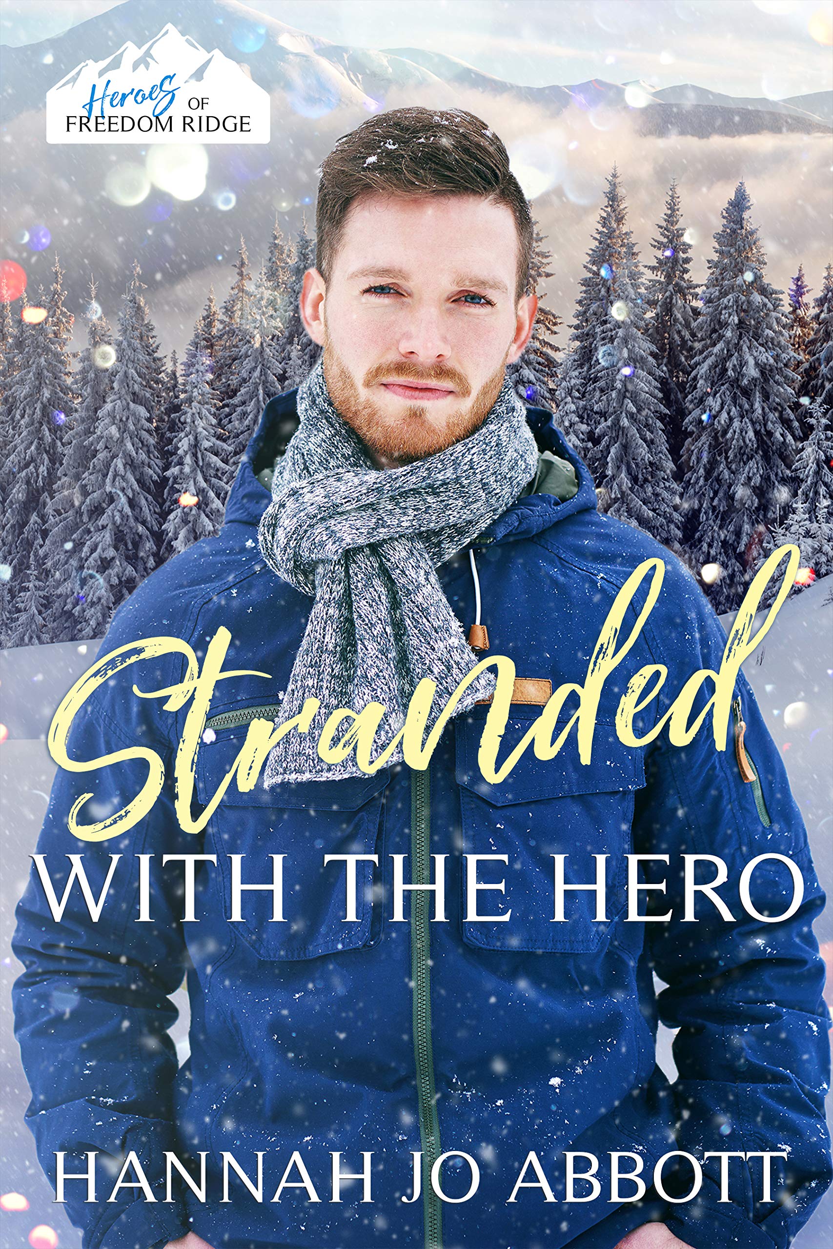 Stranded with The Hero book cover